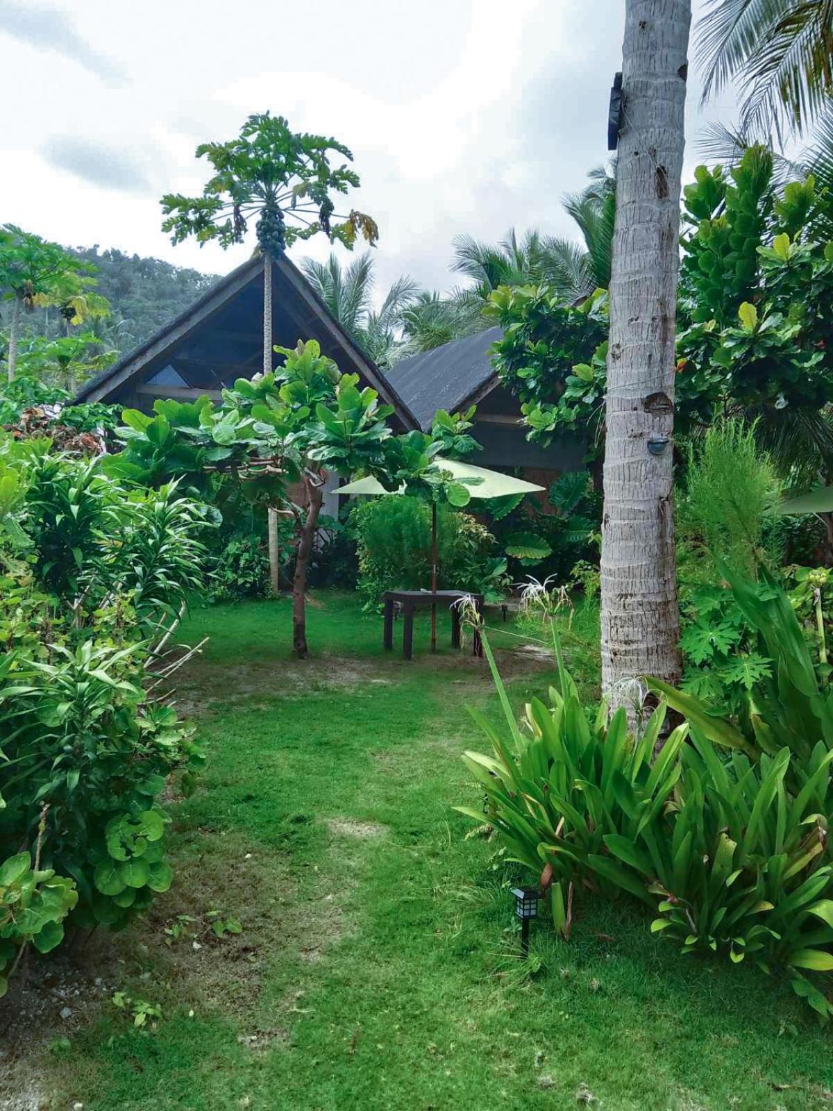 Coleto Siargao Bed and Breakfast San Isidro  Buitenkant foto