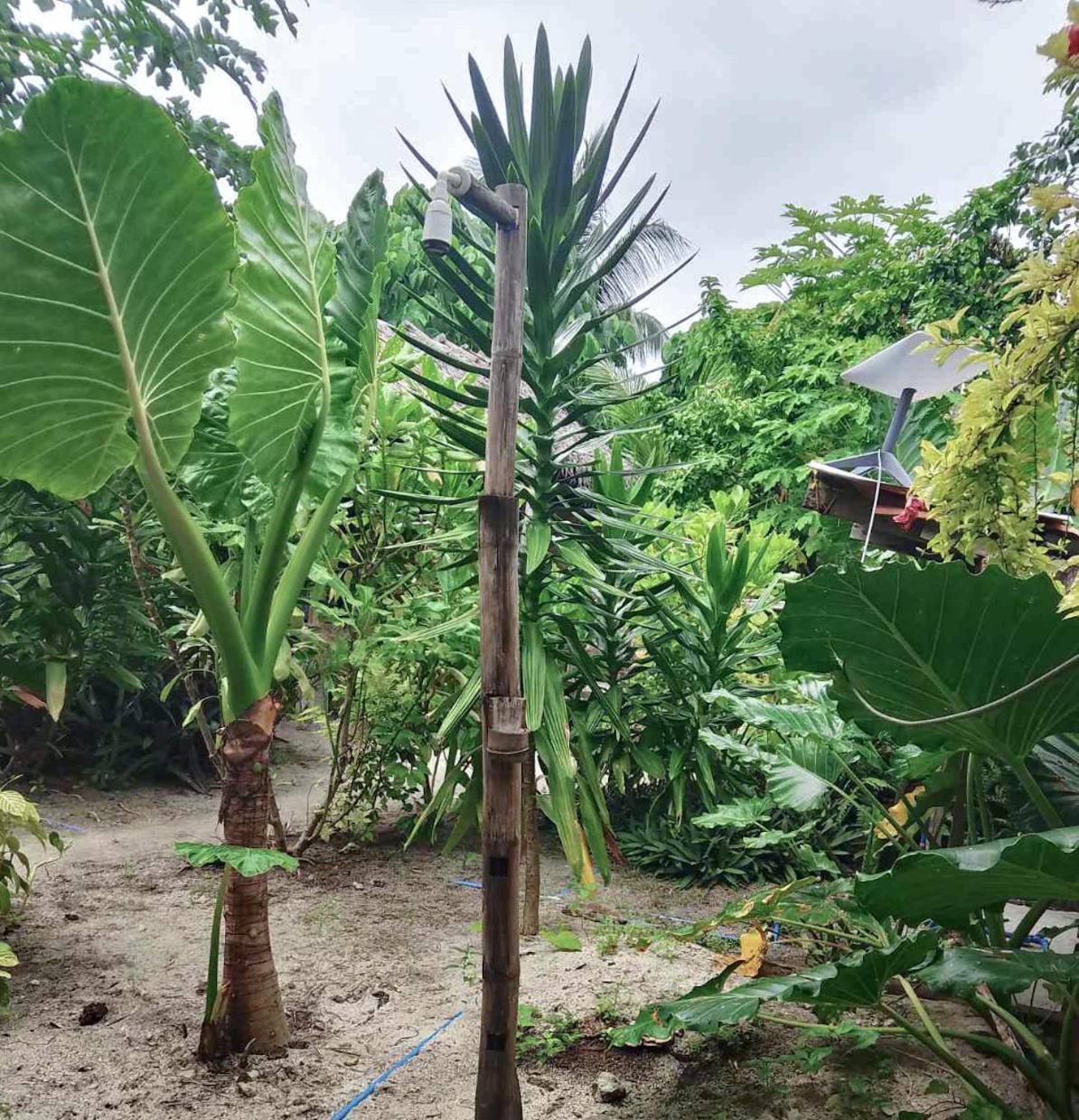 Coleto Siargao Bed and Breakfast San Isidro  Buitenkant foto