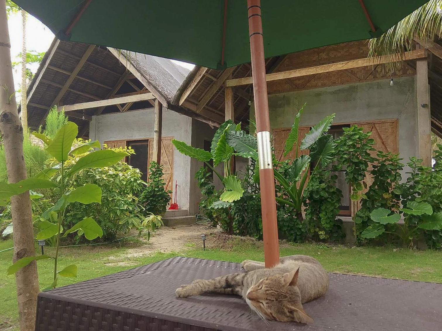 Coleto Siargao Bed and Breakfast San Isidro  Buitenkant foto
