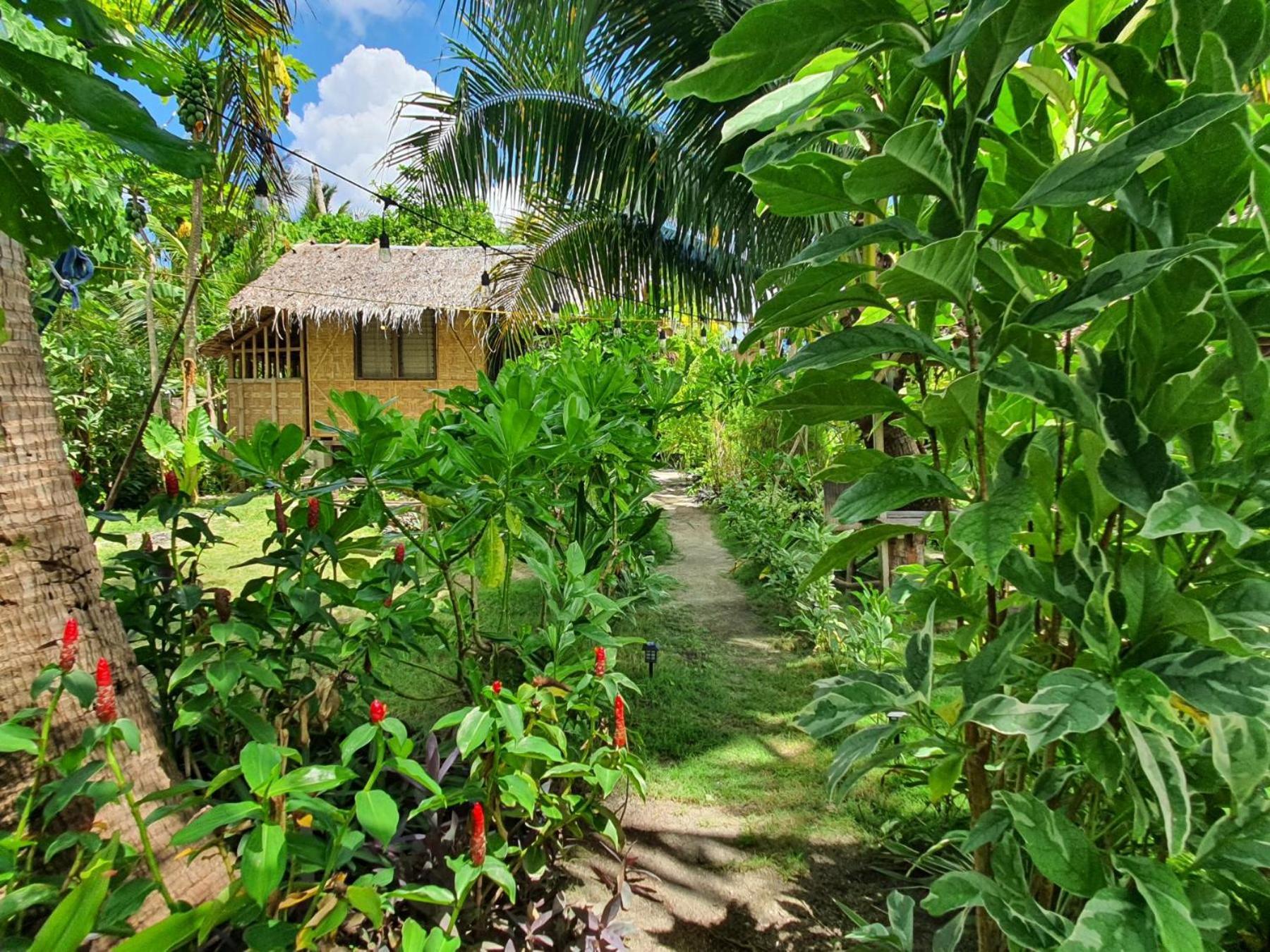 Coleto Siargao Bed and Breakfast San Isidro  Buitenkant foto