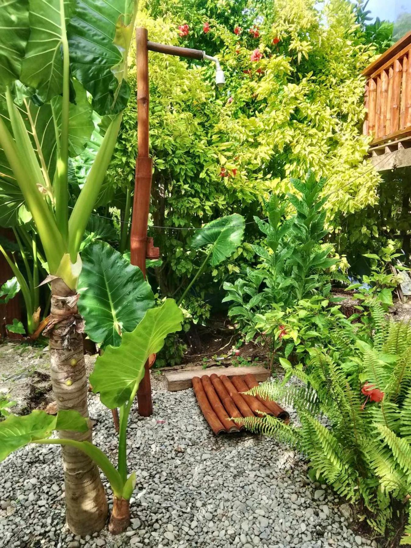 Coleto Siargao Bed and Breakfast San Isidro  Buitenkant foto