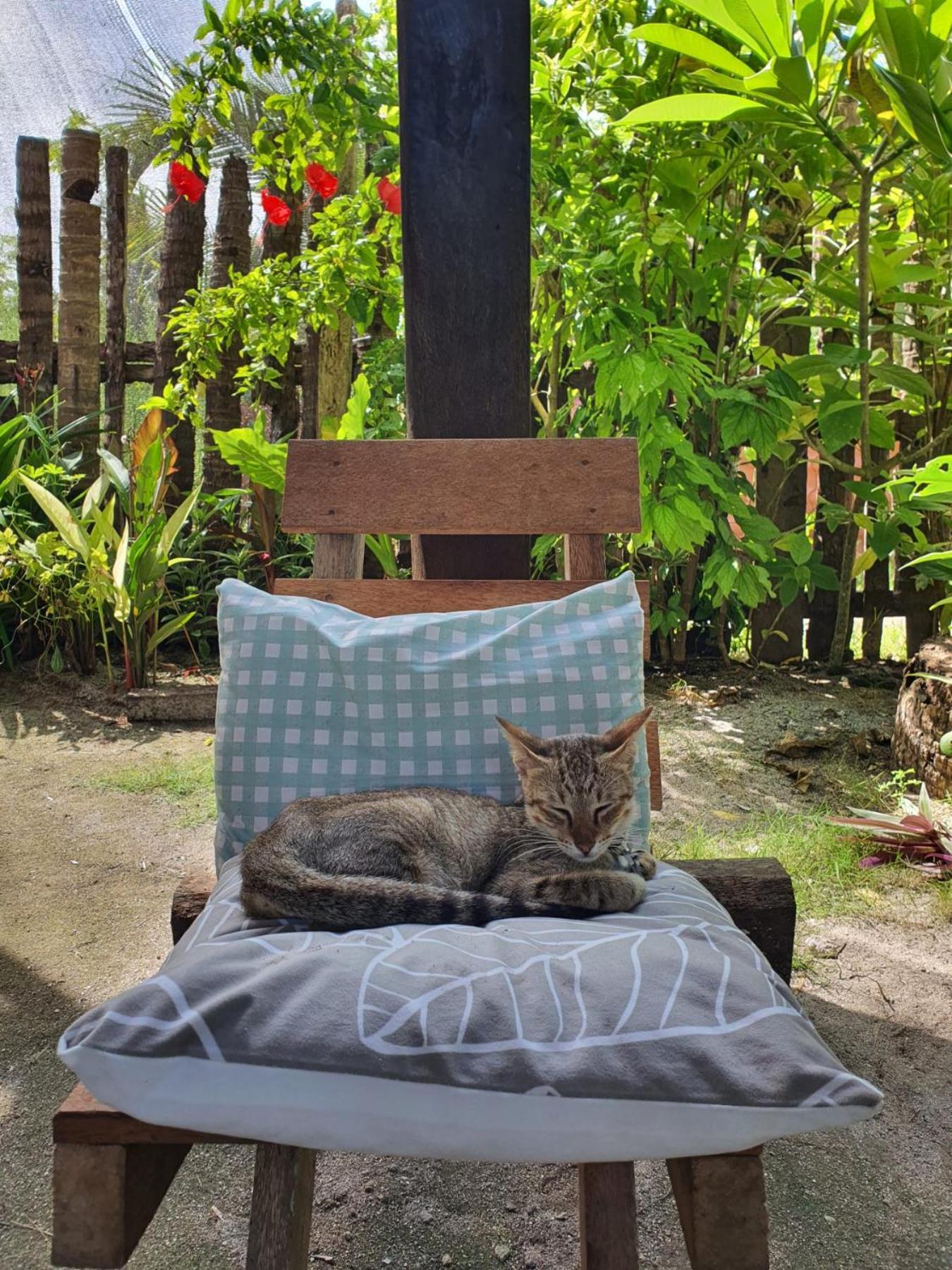 Coleto Siargao Bed and Breakfast San Isidro  Buitenkant foto