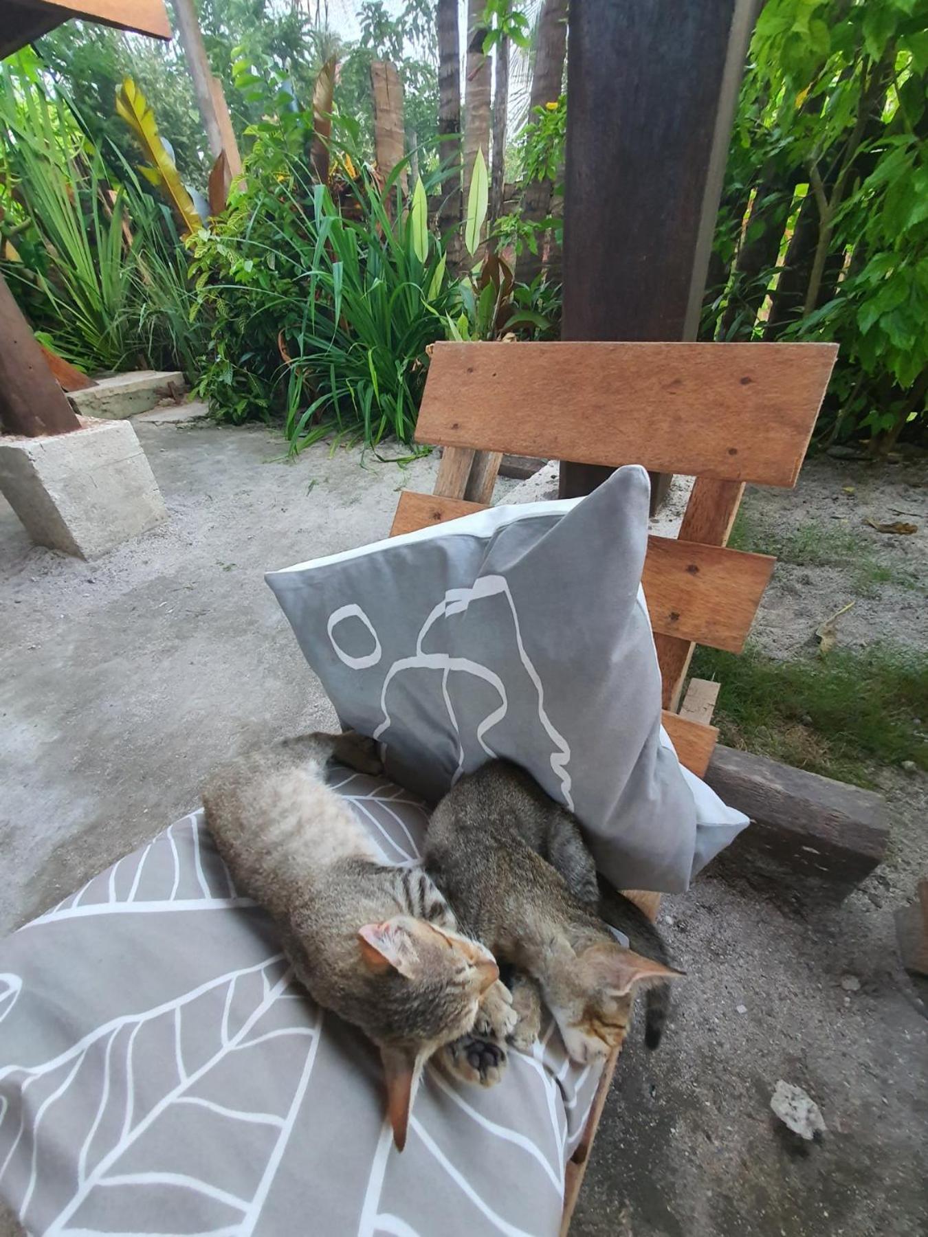 Coleto Siargao Bed and Breakfast San Isidro  Buitenkant foto